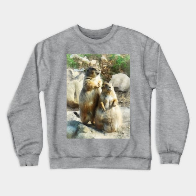 Prairie Dog Formal Portraits Crewneck Sweatshirt by SusanSavad